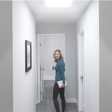 Bedroom with skylight